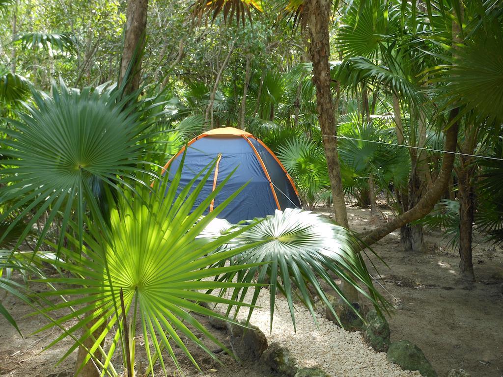 Turquesa Tulum Jungle Camping Hotel Exterior photo