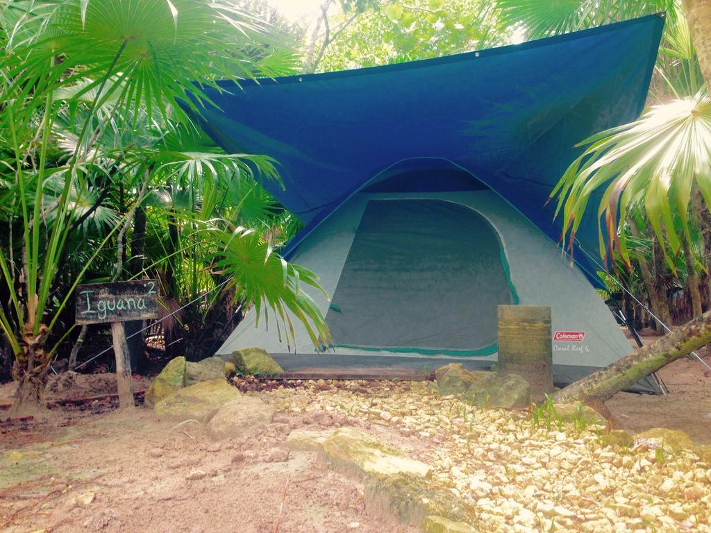 Turquesa Tulum Jungle Camping Hotel Exterior photo